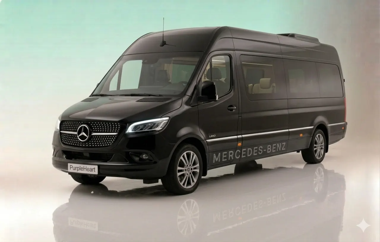 Mercedes Executive Sprinter Van — Purple Heart Limo